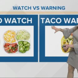 Difference between watch and warning